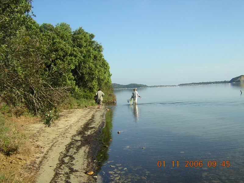 Stagno di Diana - Etang de Diana